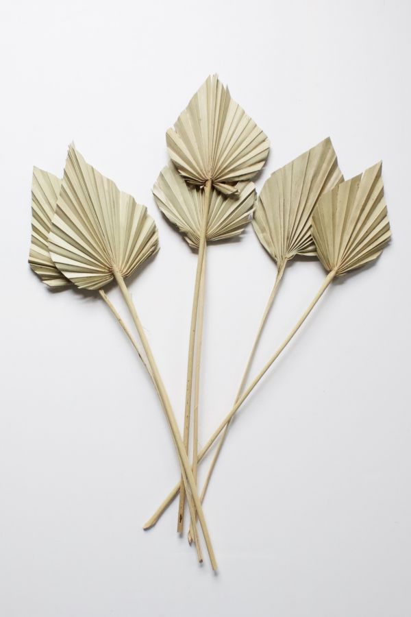 Slide View: 2: Roxanne's Dried Flowers Palm Spears