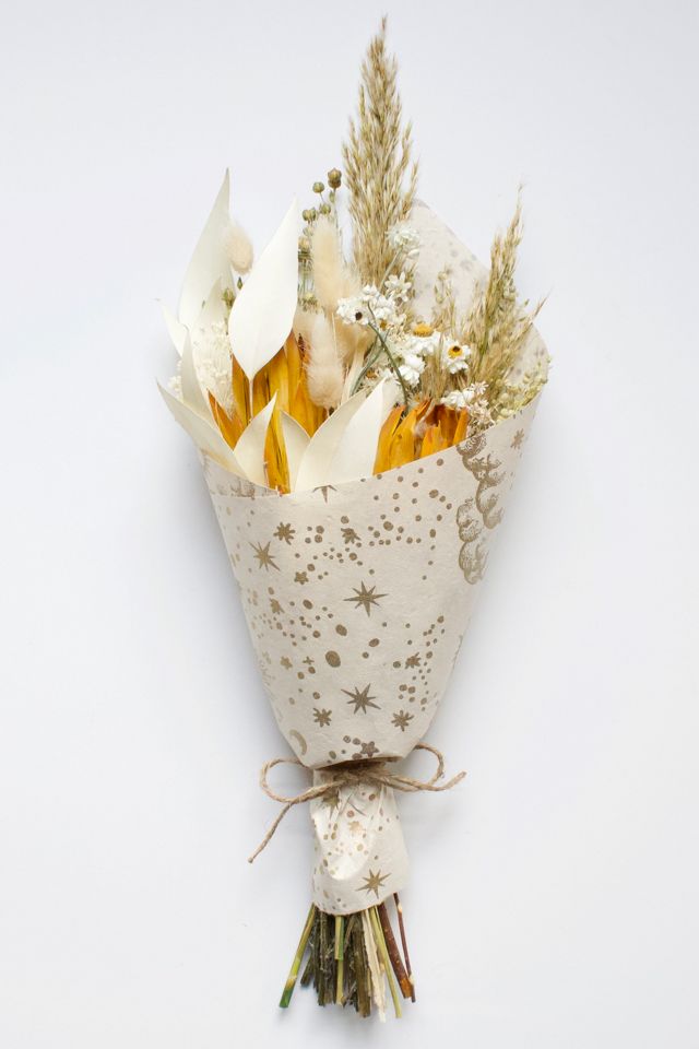 Roxanne s Dried Flowers Cosmic Blossom Bouquet Urban Outfitters