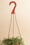 Thumbnail View 2: Home Botanicals Rare Hanging String of Dolphins Succulent in 6" Grow Pot with Hanger Included