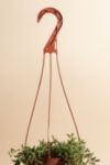 Thumbnail View 2: Home Botanicals Hanging String of Bananas Succulent in 6" Grow Pot with Hanger Included