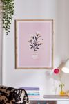 Thumbnail View 1: Charly Clements Bumble Bee Flowers Pink Art Print