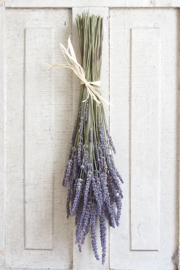 Slide View: 3: Roxanne's Dried Flowers French Lavender