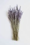 Thumbnail View 1: Roxanne's Dried Flowers French Lavender