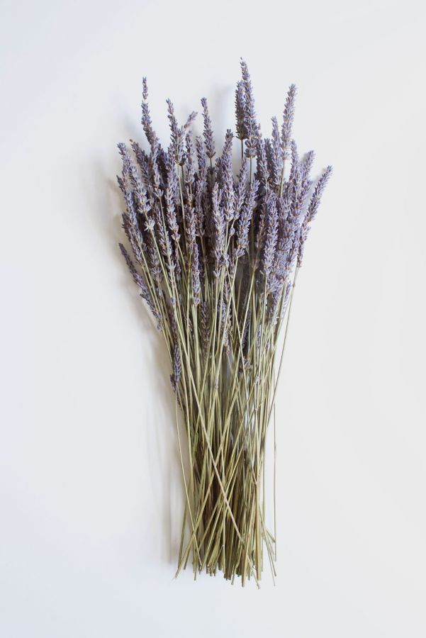 Slide View: 1: Roxanne's Dried Flowers French Lavender