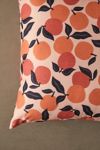 Thumbnail View 2: Alisa Galitsyna For Deny Seamless Citrus Indoor/Outdoor Throw Pillow