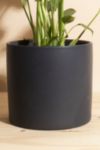 Thumbnail View 3: Home Botanicals Monstera in Black Mid Centruy Modern Ceramic Cylinder Planter