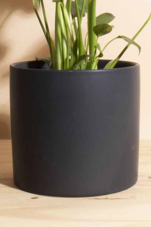 Slide View: 3: Home Botanicals Monstera in Black Mid Centruy Modern Ceramic Cylinder Planter