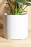 Thumbnail View 3: Home Botanicals Monstera in White Mid Centruy Modern Ceramic Cylinder Planter