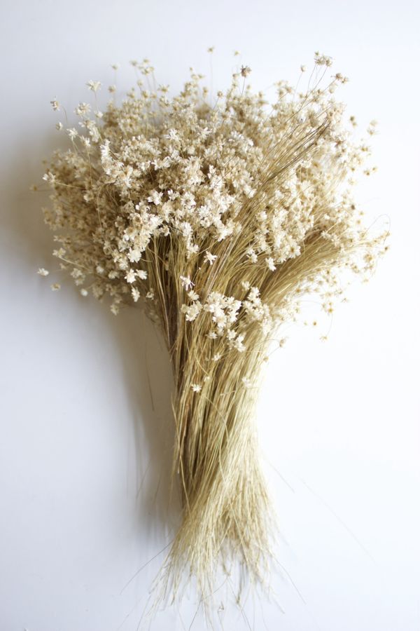 Slide View: 1: Roxanne's Dried Flowers Star Flowers