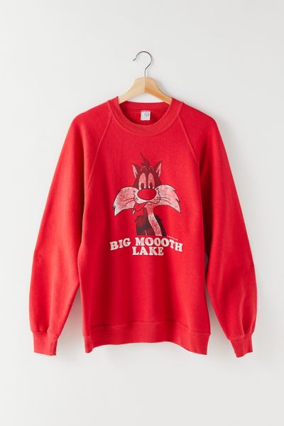 Vintage Sylvester Cat Graphic Sweatshirt | Urban Outfitters