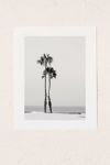 Thumbnail View 1: Bree Madden Two Palms Art Print