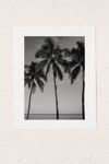 Thumbnail View 1: Reproduction artistique Hawaiian Palms IV Bethany Young Photography