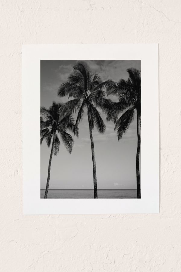 Slide View: 1: Reproduction artistique Hawaiian Palms IV Bethany Young Photography