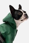 Thumbnail View 1: Silver Paw Dog Reflective Raincoat