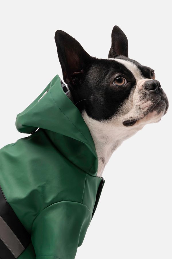 Slide View: 1: Silver Paw Dog Reflective Raincoat