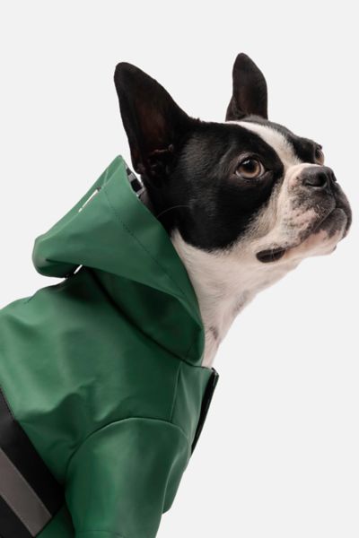 Silver Paw Dog Reflective Raincoat