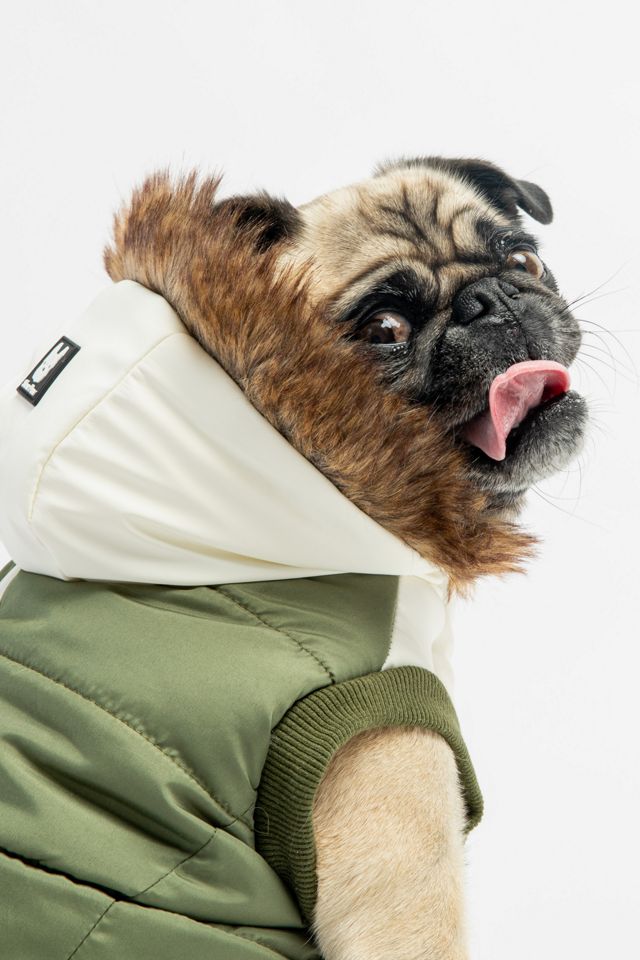 Silver Paw Dog Ava Puffer Jacket Urban Outfitters