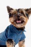 Thumbnail View 1: Silver Paw Dog Jean Jacket