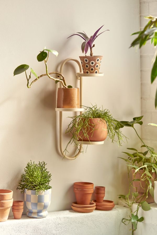 Slide View: 2: Wall Mounted Plant Stand