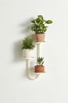 Thumbnail View 3: Wall Mounted Plant Stand