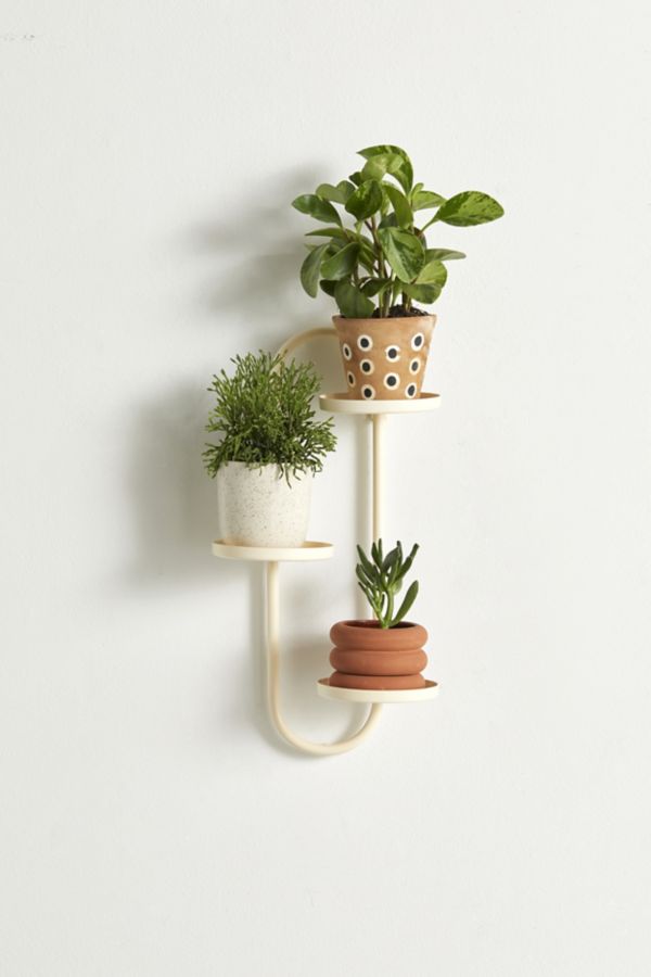 Slide View: 3: Wall Mounted Plant Stand