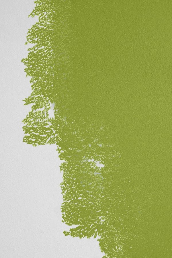 Slide View: 2: Backdrop Standard Finish Paint - 1 Gallon