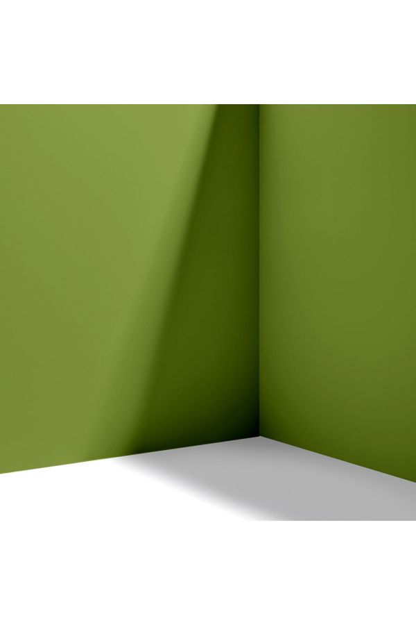 Slide View: 4: Backdrop Standard Finish Paint - 1 Gallon