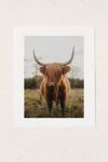 Thumbnail View 1: Chelsea Victoria The Curious Highland Cow Art Print