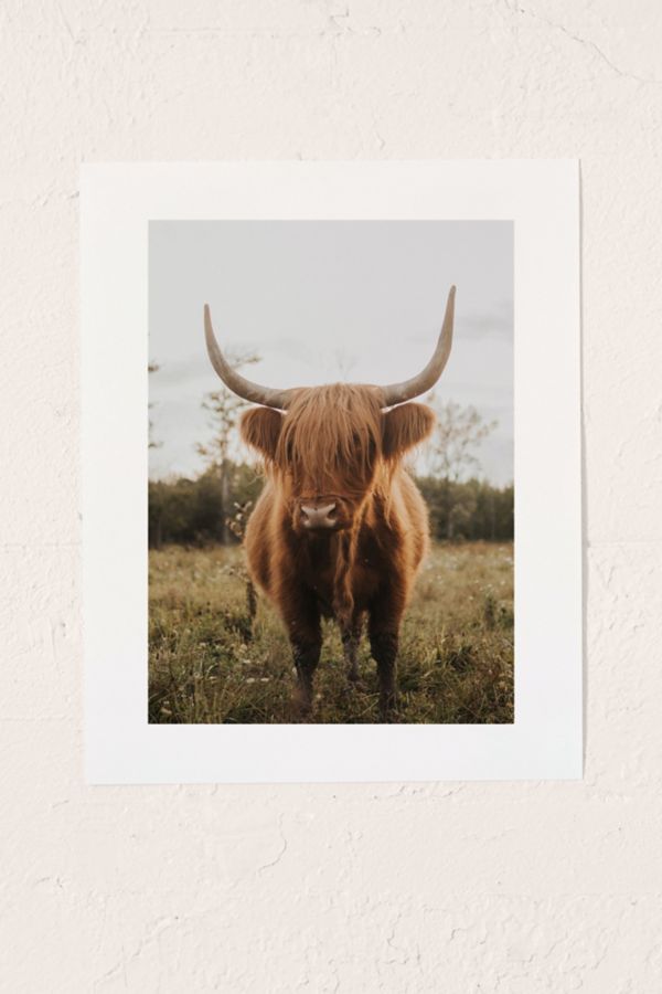 Slide View: 1: Chelsea Victoria The Curious Highland Cow Art Print