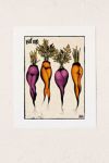 Thumbnail View 1: CeciTattoos Sexy Carrots Botanical Chart Art Print