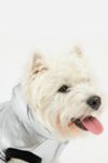 Thumbnail View 1: Silver Paw Dog Emma Sherpa Quilted Jacket