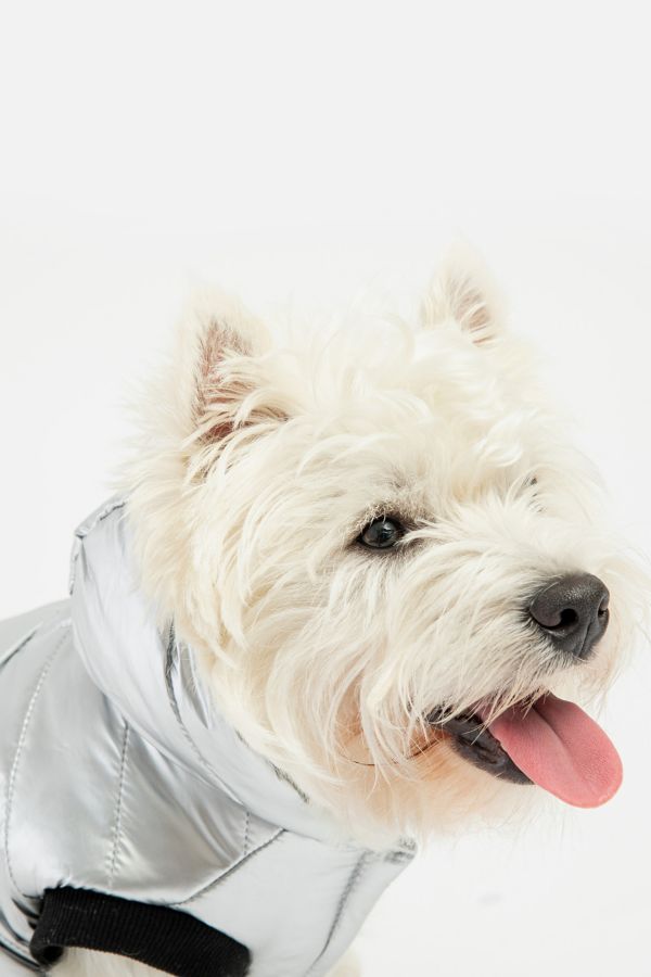 Slide View: 1: Silver Paw Dog Emma Sherpa Quilted Jacket