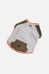 Thumbnail View 2: Silver Paw Dog Chase Raglan Sweatshirt