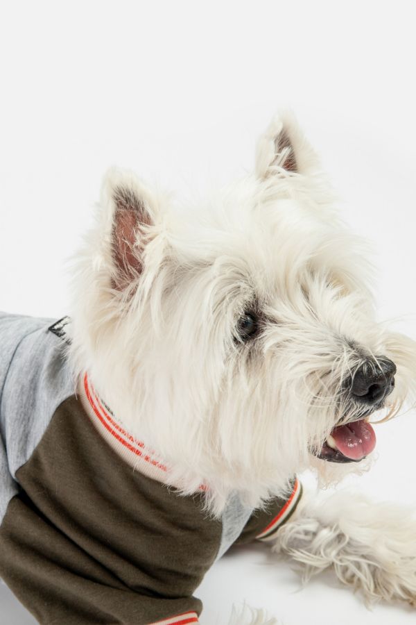 Slide View: 1: Silver Paw Dog Chase Raglan Sweatshirt