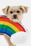 Thumbnail View 1: Silver Paw Dog Rainbow Costume