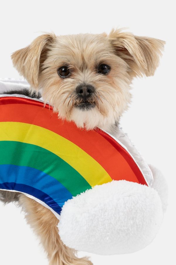 Slide View: 1: Silver Paw Dog Rainbow Costume