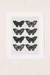 Thumbnail View 1: Avenie Butterfly Collection Black Art Print