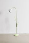 Thumbnail View 4: Tulip Floor Lamp