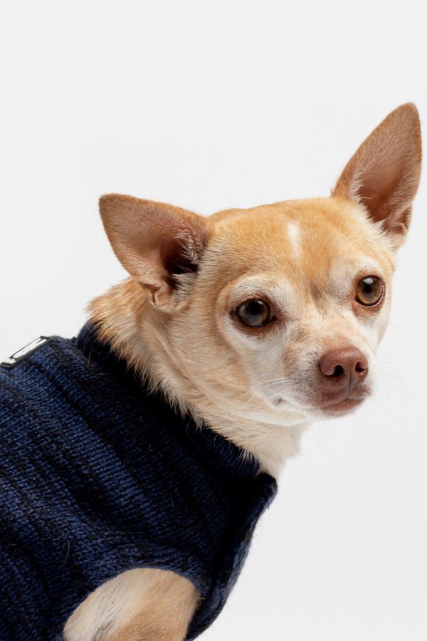 Slide View: 5: Silver Paw Dog Mia Fleece Lined Sweater