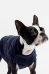 Thumbnail View 1: Silver Paw Dog Mia Fleece Lined Sweater