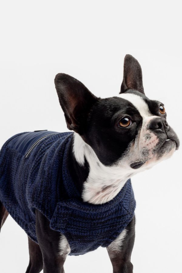 Slide View: 1: Silver Paw Dog Mia Fleece Lined Sweater