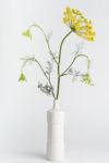 Thumbnail View 1: Middle Kingdom x Foekje Fleur Porcelain Ribbed Vase