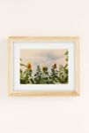 Thumbnail View 2: Ann Hudec Texas Sunflower Field Art Print