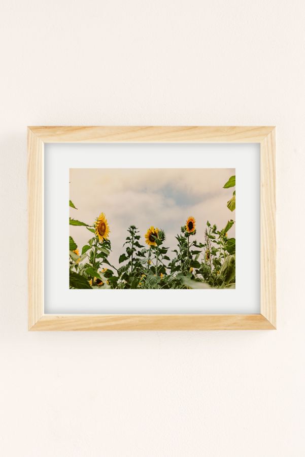 Slide View: 2: Ann Hudec Texas Sunflower Field Art Print