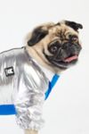 Thumbnail View 1: Silver Paw Dog Rick Tracksuit