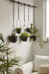 Thumbnail View 1: Triflora Large Hanging Planter