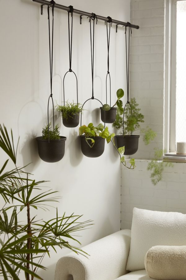 Slide View: 1: Triflora Large Hanging Planter