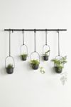 Thumbnail View 2: Triflora Large Hanging Planter