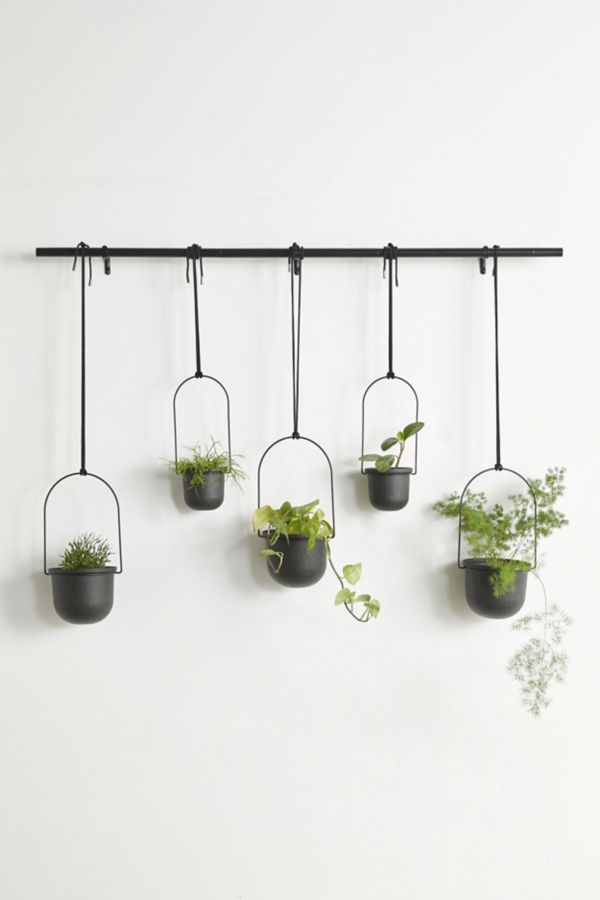 Slide View: 2: Triflora Large Hanging Planter