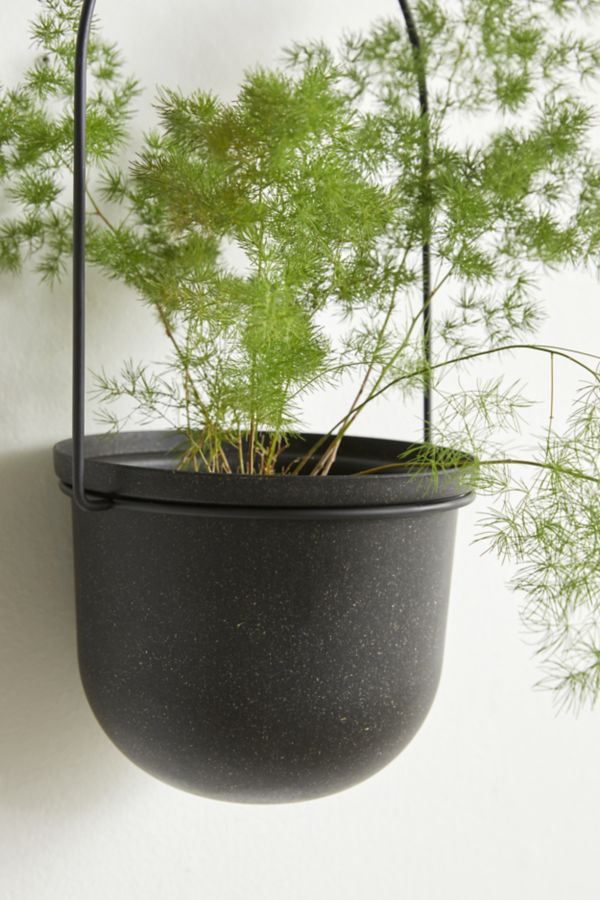 Slide View: 4: Triflora Large Hanging Planter